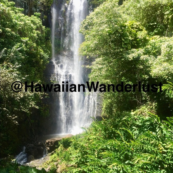 Digital Prints of Hawaii - Picture 5 of 7